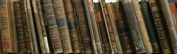 Bücher, von Sylvia Scholz