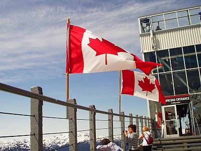 Canadian flags